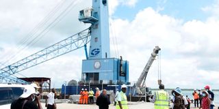 Shore Gantry Cranes