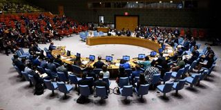 United Nations Security Council