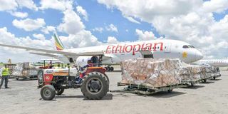 Ethiopian Airlines plane