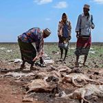 Pastoralists