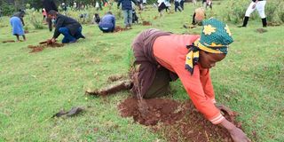 A tree planting drive at Kaptagat Forest in Elgeyo Marakwet County, Kenya on July 23, 2021.