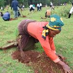 A tree planting drive at Kaptagat Forest in Elgeyo Marakwet County, Kenya on July 23, 2021.
