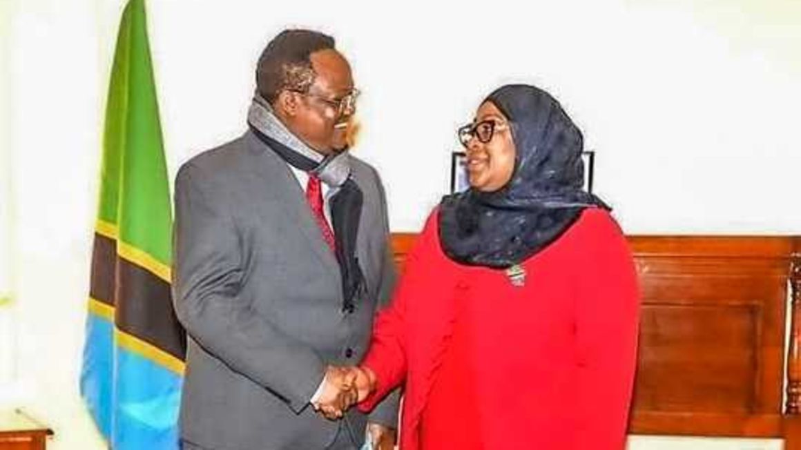 Tanzanian President Samia Suluhu and Opposition deputy leader Tundu Lissu.