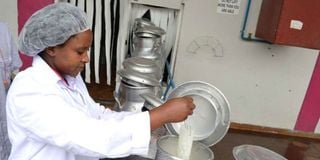 An employee at a milk collection centre in Kenya.