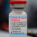Moderna vaccine.