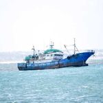 Chinese fishing boats