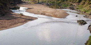 A section of the Mara River.