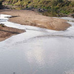 A section of the Mara River.