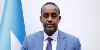 Somali Prime Minister Mohamed Hussein Roble.