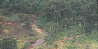 Embobut Forest in Kenya.