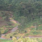 Embobut Forest in Kenya.