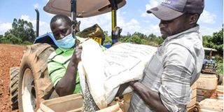 Agri- SMEs at work in a farm