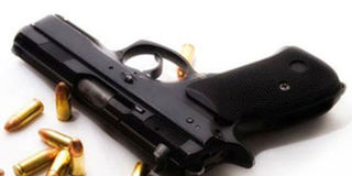 Gun.