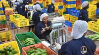 Workers at Kenyan-based Twiga Foods Ltd.