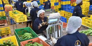 Workers at Kenyan-based Twiga Foods Ltd.