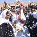 Yazidi Wedding Celebrations.
