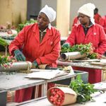 Workers at a farm in Kenya sort flowers for export to Europe.
