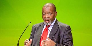 Gwede Mantashe, the South African minister of Minerals and Energy.