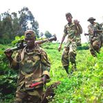 M23 rebels withdraw through the hills from Karuba in eastern Democratic Republic of Congo on November 30, 2012. 