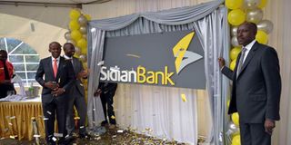 Sidian Bank.