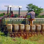 Farm.