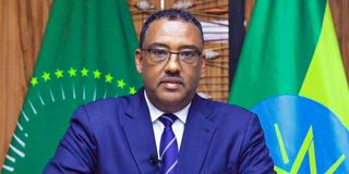 Demeke Mekonnen, Ethiopia's Deputy Prime Minister