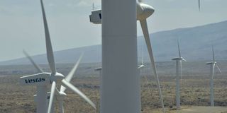 A wind farm in Kenya.