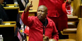 Julius Malema.
