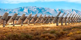 Rows of solar panels in Western Cape, South Africa. 