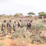 Somali army on patrol