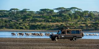 Tourists in Tanzania