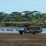 Tourists in Tanzania