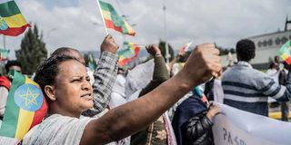 Tigrayan protesters