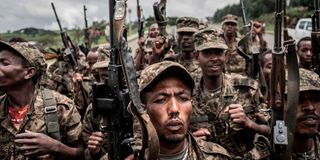 Ethiopian National Defense Force