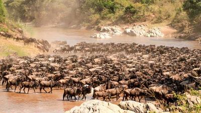 Tourism industry turnaround needs smart choices - The East African