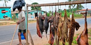 A man walks past bushmeat on sale in Bata, Equatorial Guinea