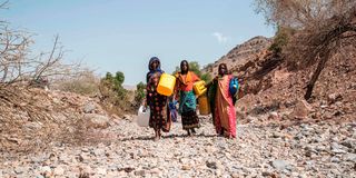 Internally displaced Ethiopian women 