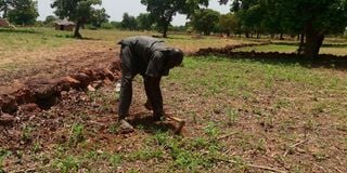 A farmer in Burkina Faso