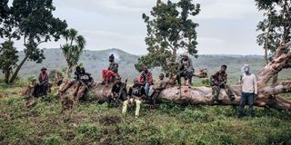 Ituri War in the Democratic Republic of Congo