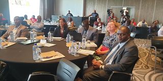 Stakeholders during the HoRN learning event in Nairobi