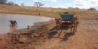  Residents of Mtito Adei in Kenya’s Makueni County fetching water from a dam