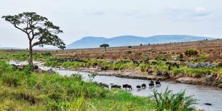 Sand River in Tanzania. 