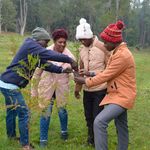  Aberdare Forest in Kenya