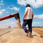 Food security Ukraine war