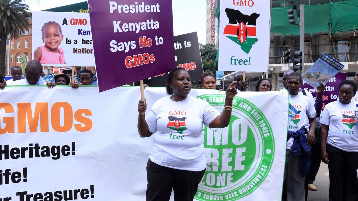 Anti-GMO demonstration in Nairobi