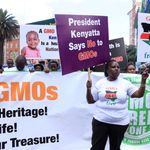 Anti-GMO demonstration in Nairobi