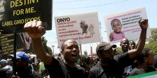 Activists in Kenya in a protest against GMOs