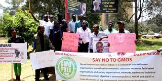 Protests against GMO foods in Kenya.