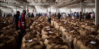 Buyers at tobacco auction in Blantyre, Malawi.