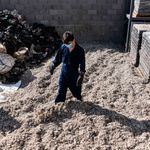 Egypt plastic waste